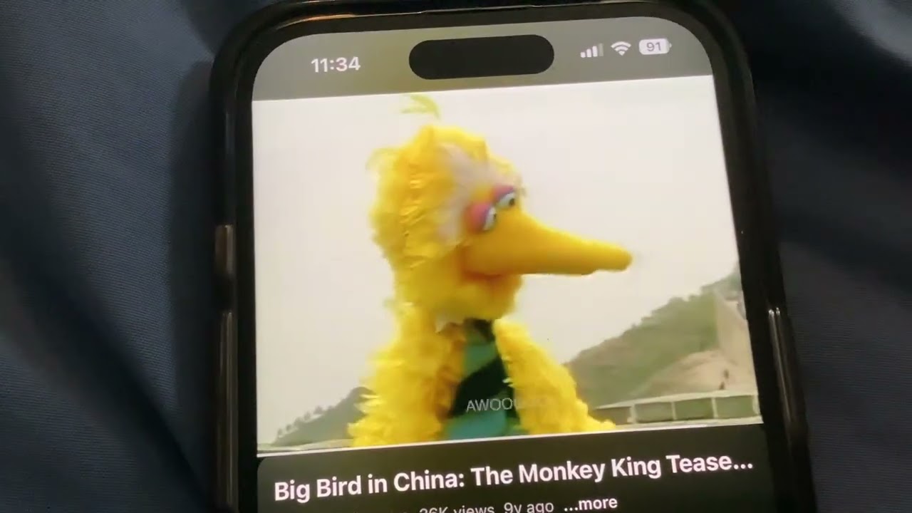 Sesame Street Big Bird In China Barkley Sound