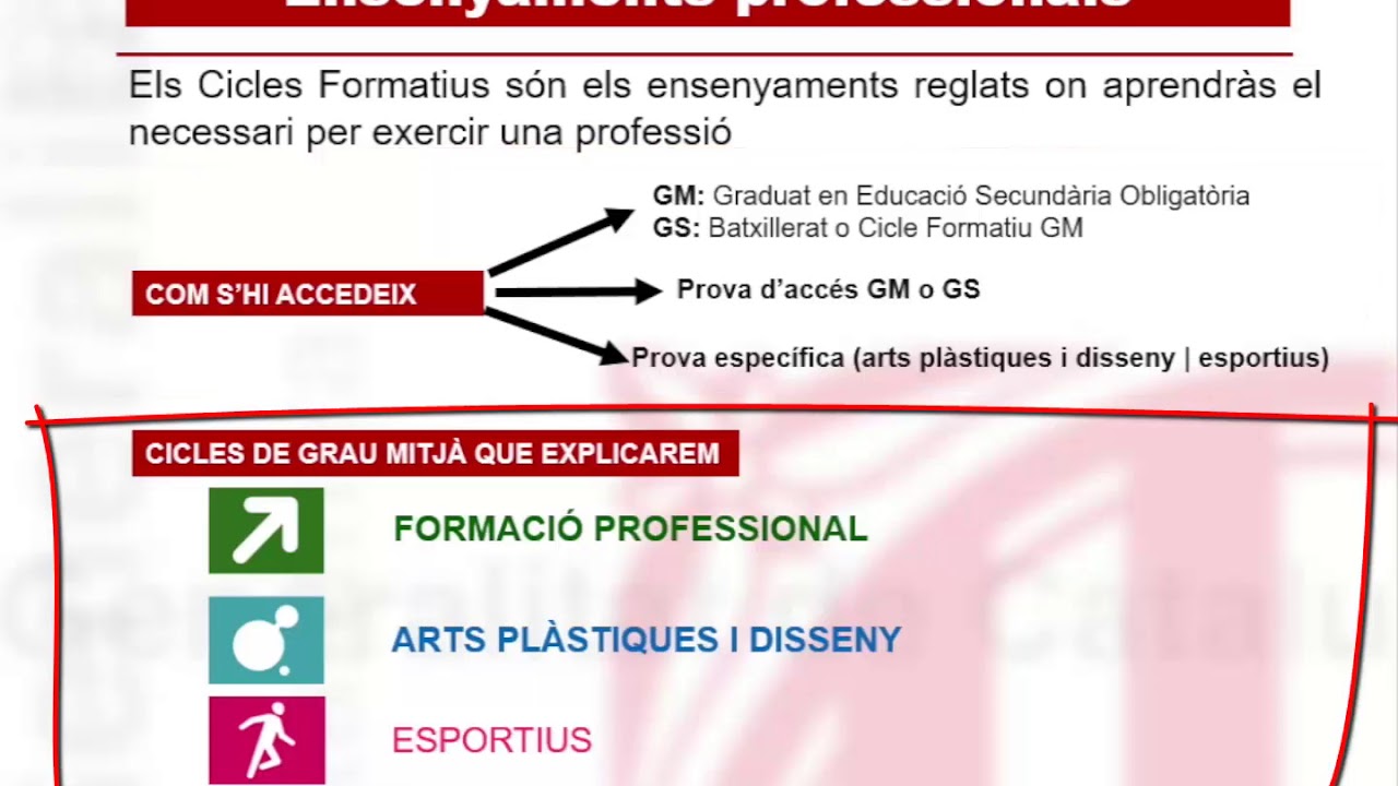 Orientaci&oacute; als Cicles Formatius