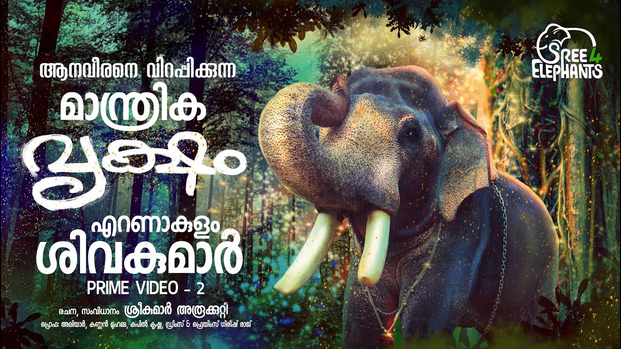 പൂരപ്പറമ്പിലെ അജ്ഞാത സത്വത്തെ കണ്ട് അന്തം വിട്ട് പറന്ന ആന..!