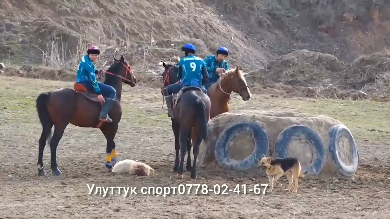 Аксы кумдагы кок-бору мелдеши