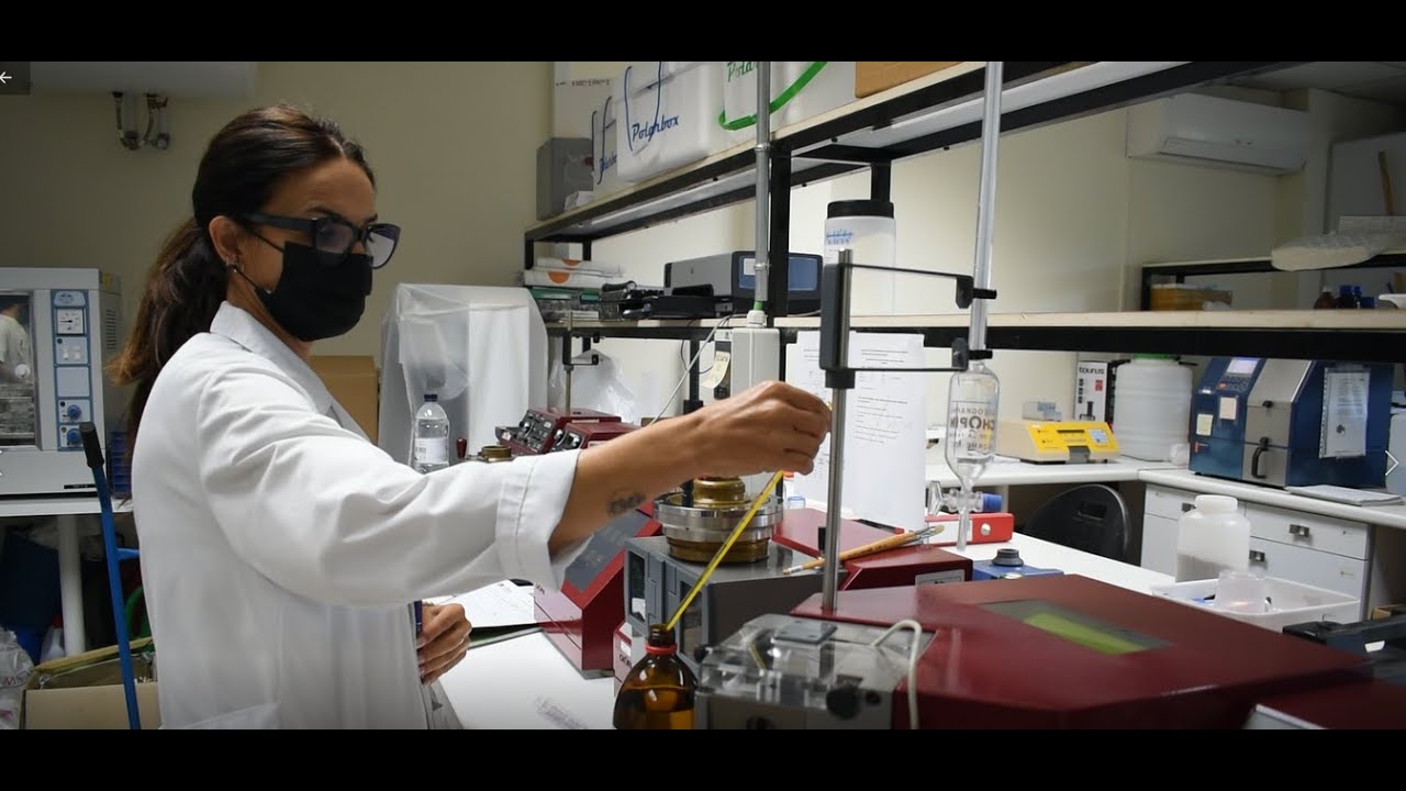 COSECHA CEREAL: ANALISIS DE TRIGO EN LABORATORIO