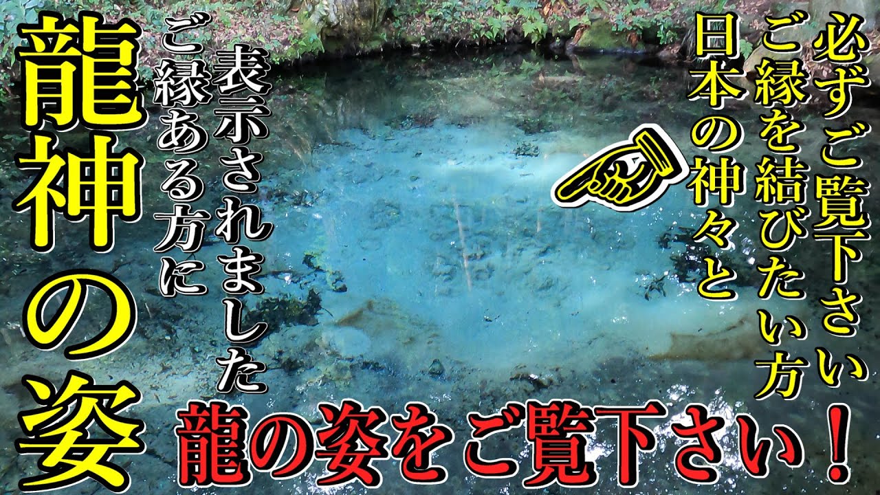 ※1300年前から人々が集い幸福を誓い合った龍宿る泉【茨城県日立市 泉神社】