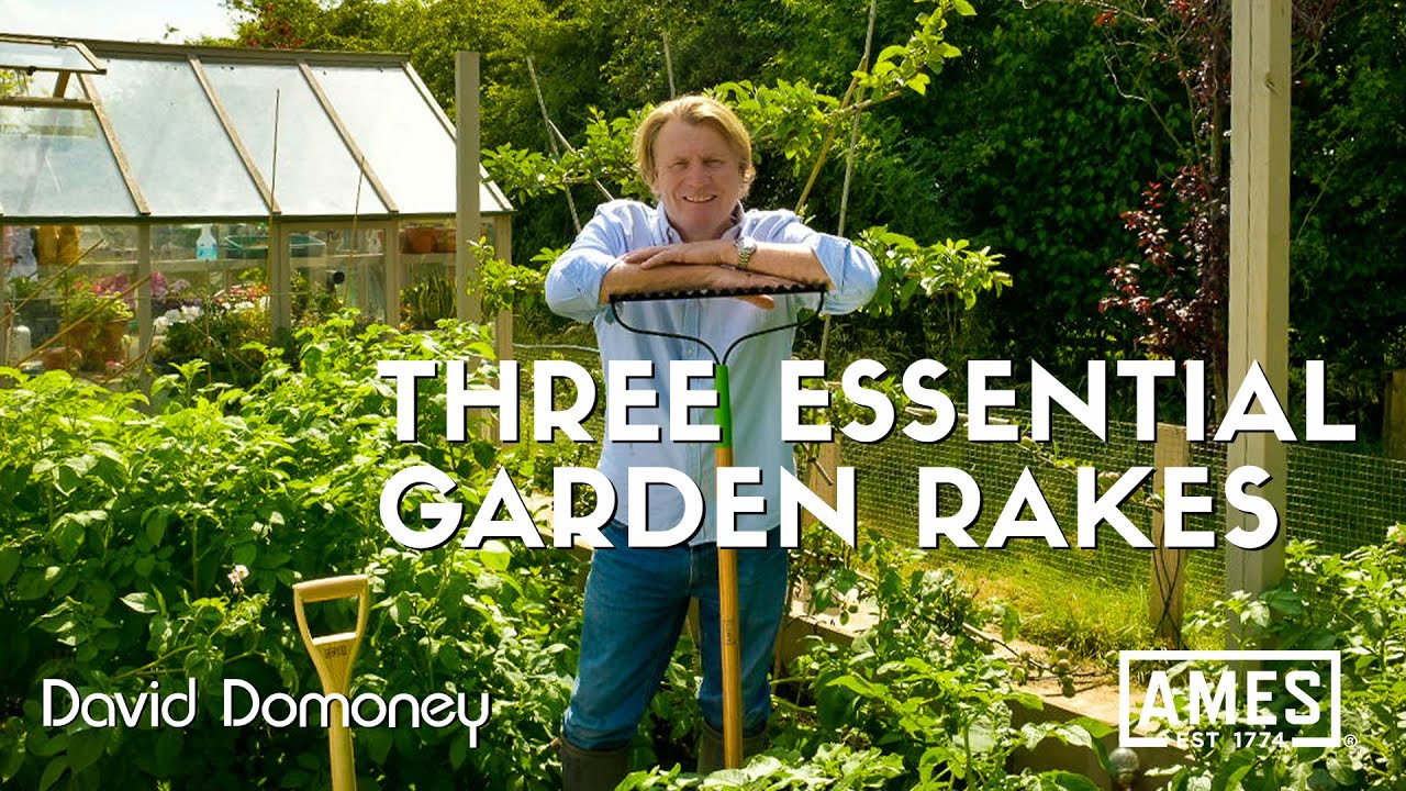 Garden Rakes: The Unsung Heroes of Your Backyard