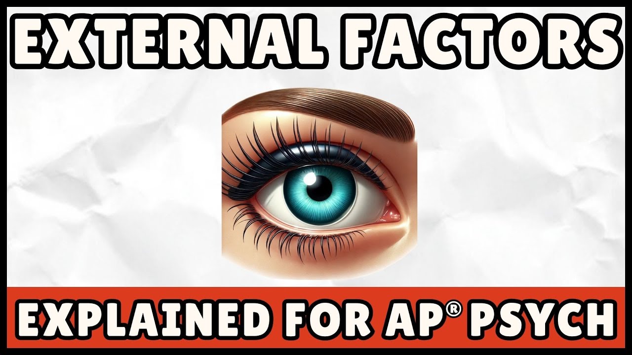 External Factors Influencing Perception (AP Psychology)