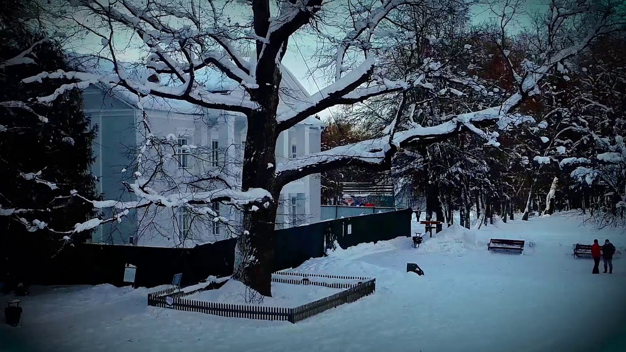 Tree of the Year Russia 2018 - The Abramtsevo Oak