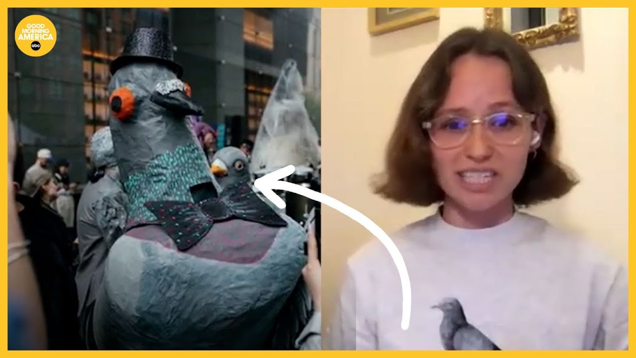 This is New York City's top pigeon