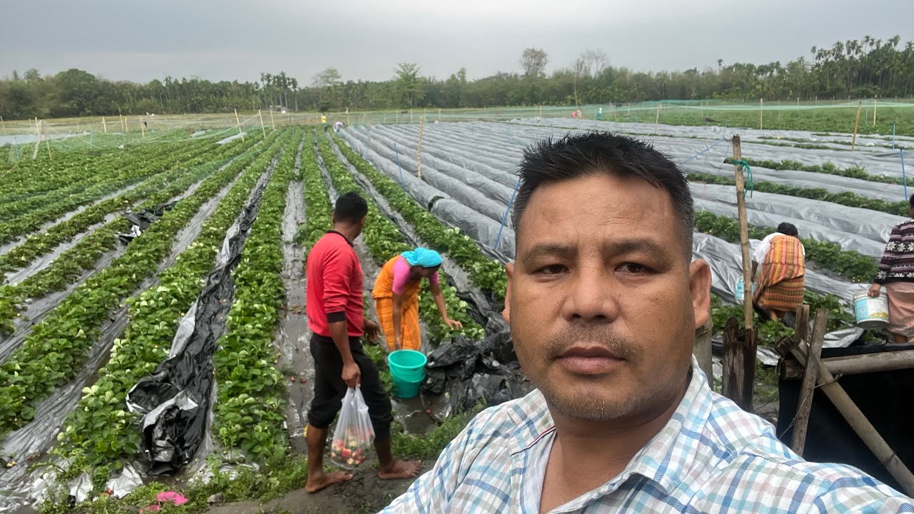 Oka hababw kagasen dong