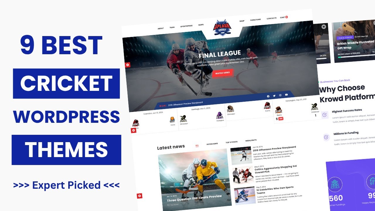9 Best Cricket WordPress Themes 🏏