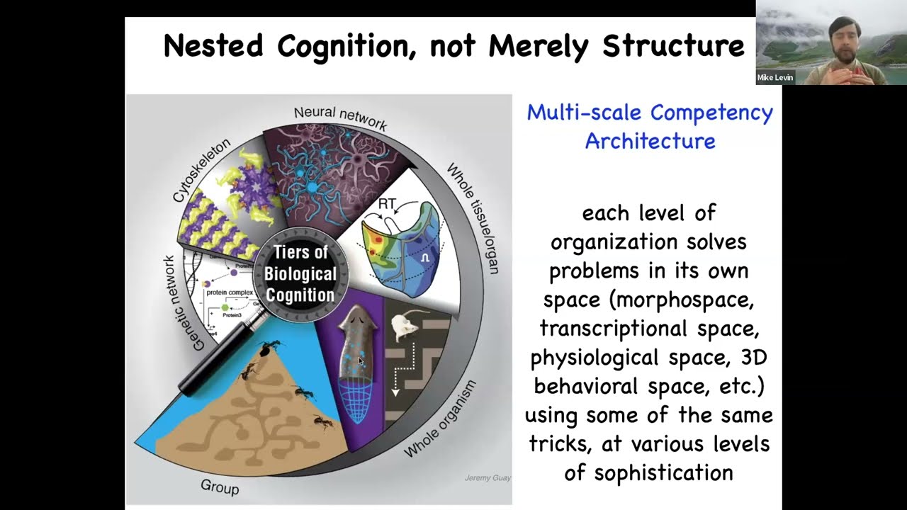 Matter to Mind:Bioelectricity, Body Intelligence, Future of Regenerative Medicine- Dr. Michael Levin