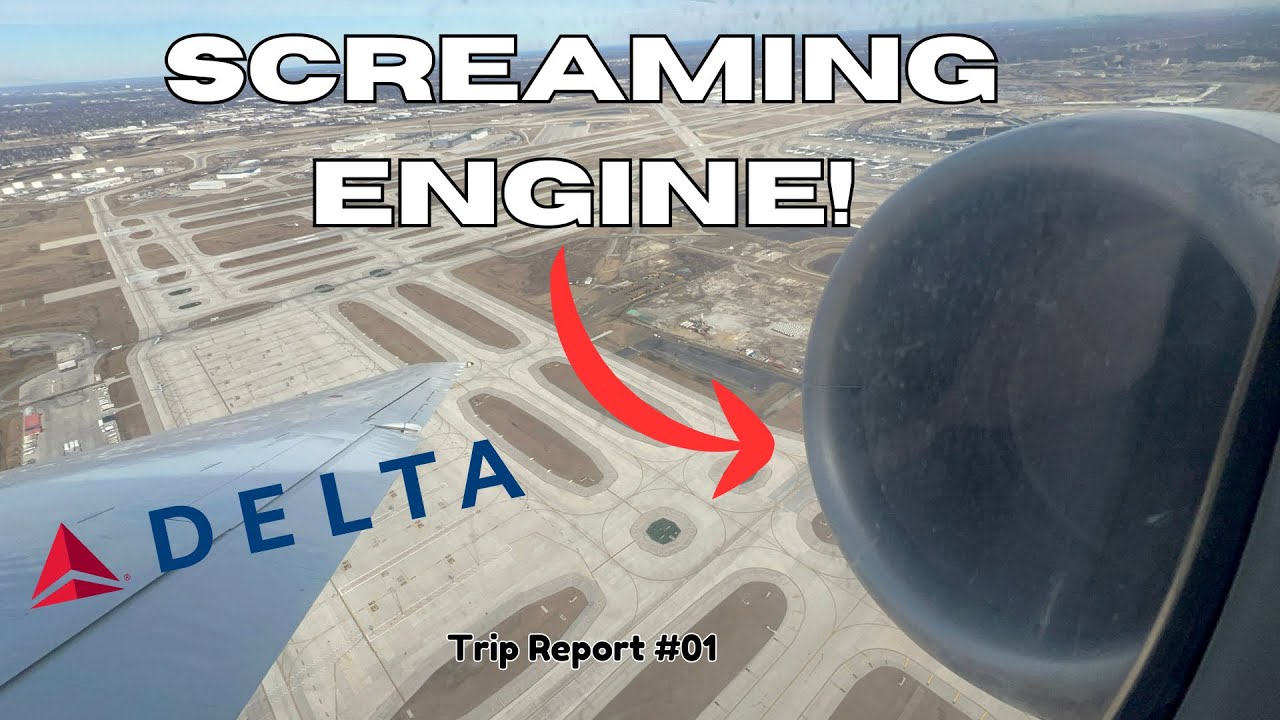 Flying on the rare MADDOG Boeing 717! - Delta Airlines | ORD-MSP | Economy.