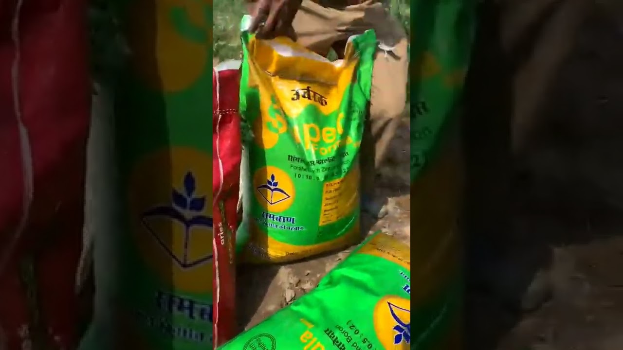 गन्ना बुवाई में कौन कौन से उर्वरक डाले