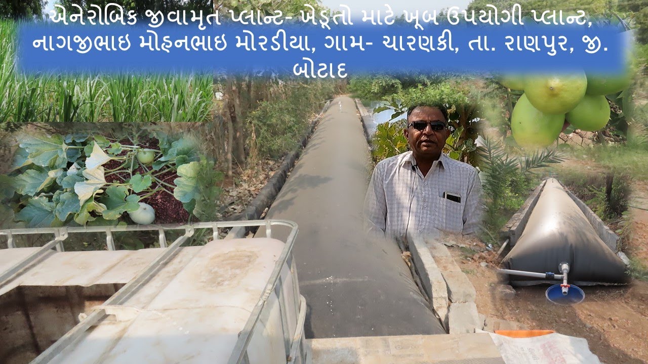 એડવાન્સ એનેરોબિક જીવામૃત- વ- જૈવિક કીટક નાશક બનાવવાનો પ્લાન્ટ एड्वान्स जीवामृत- व - किटक नाशक प्लांट