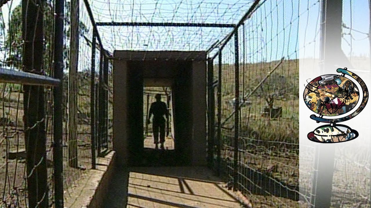Families Divided by the Mozambique-South Africa Border (2000)