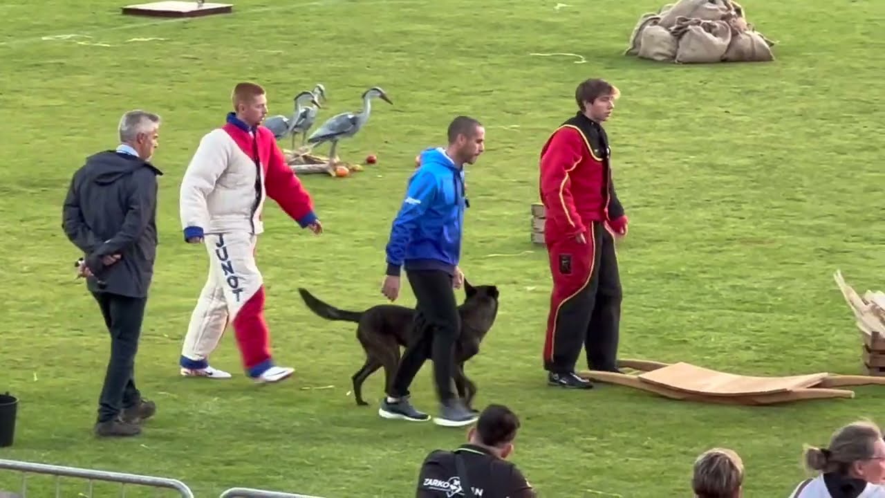 Team Italy 2023 Mondioring World Championship MR1 Grand Prix