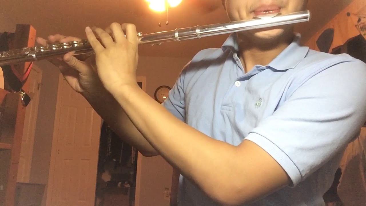 &ldquo;Lost Woods&rdquo; from The Legend of Zelda: Ocarina of Time (flute)