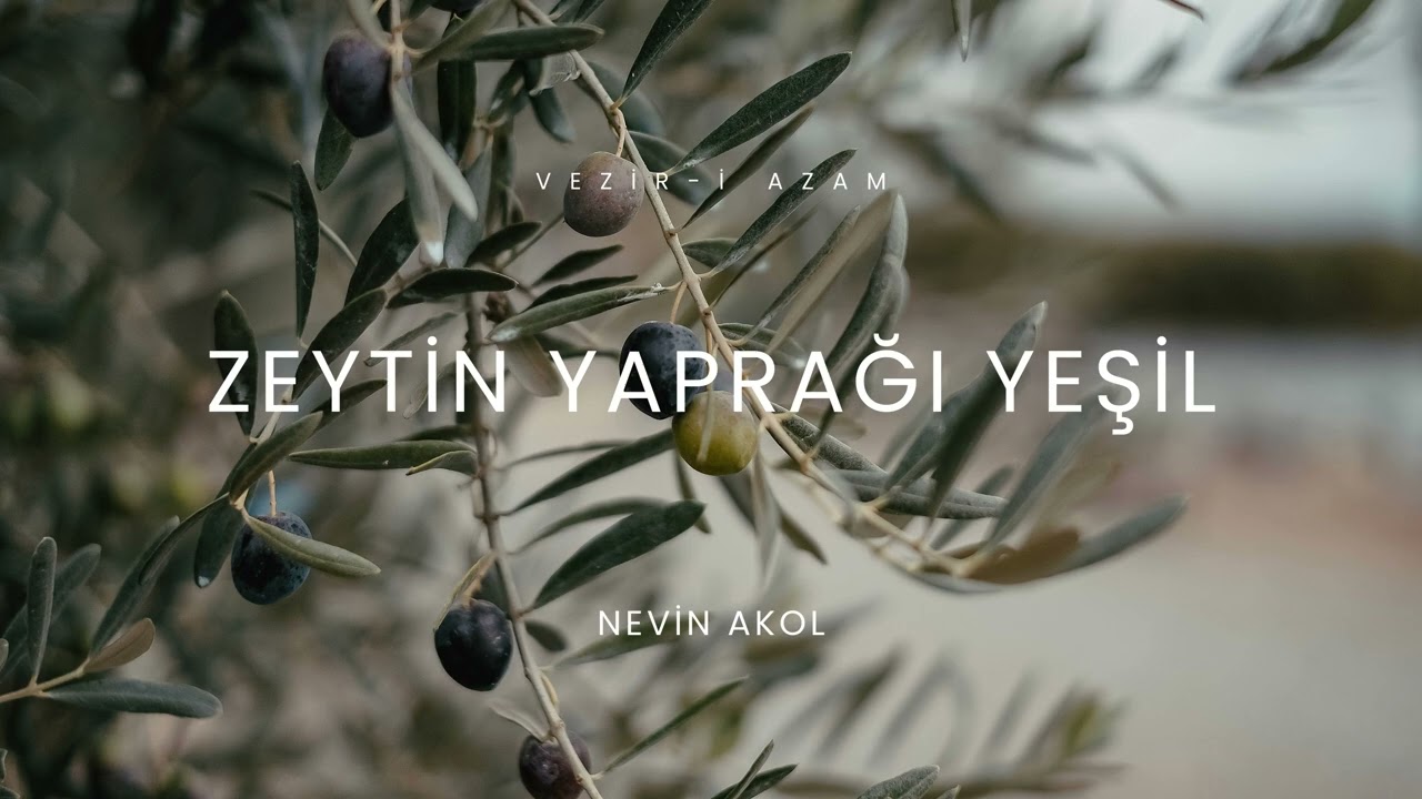 Zeytin Yaprağı Yeşil | Kilis Türküsü | Vezir-i Azam | Türk Halk Müziği