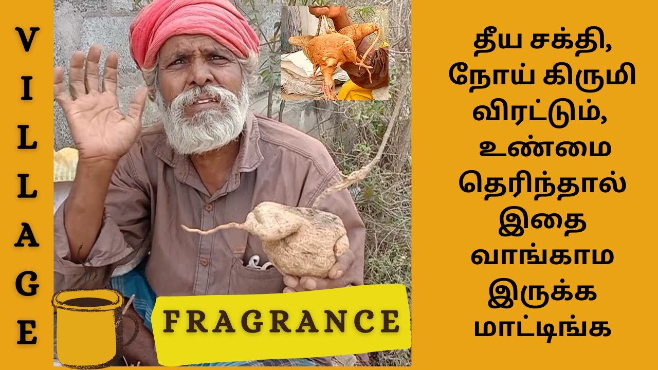 யாரும் அறியாத கருட கிழங்கின் ரகசியம்/ முன்னோர்கள் ரகசியம்/ Ahasa Garudan Kilangu