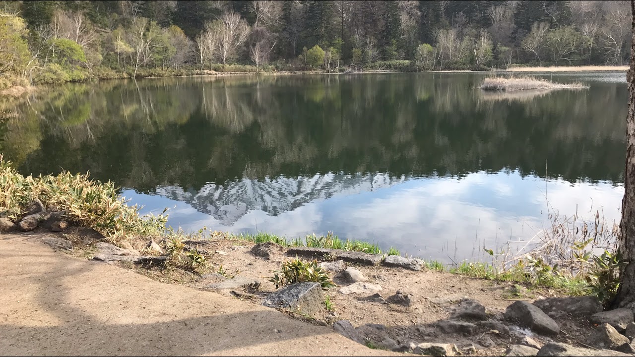 姫沼ライブカメラ AXIS M2035-LE　7/9再配信テスト