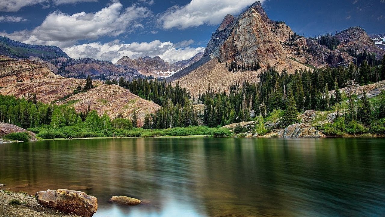 Дмитрий Метлицкий DM-Orchestra 