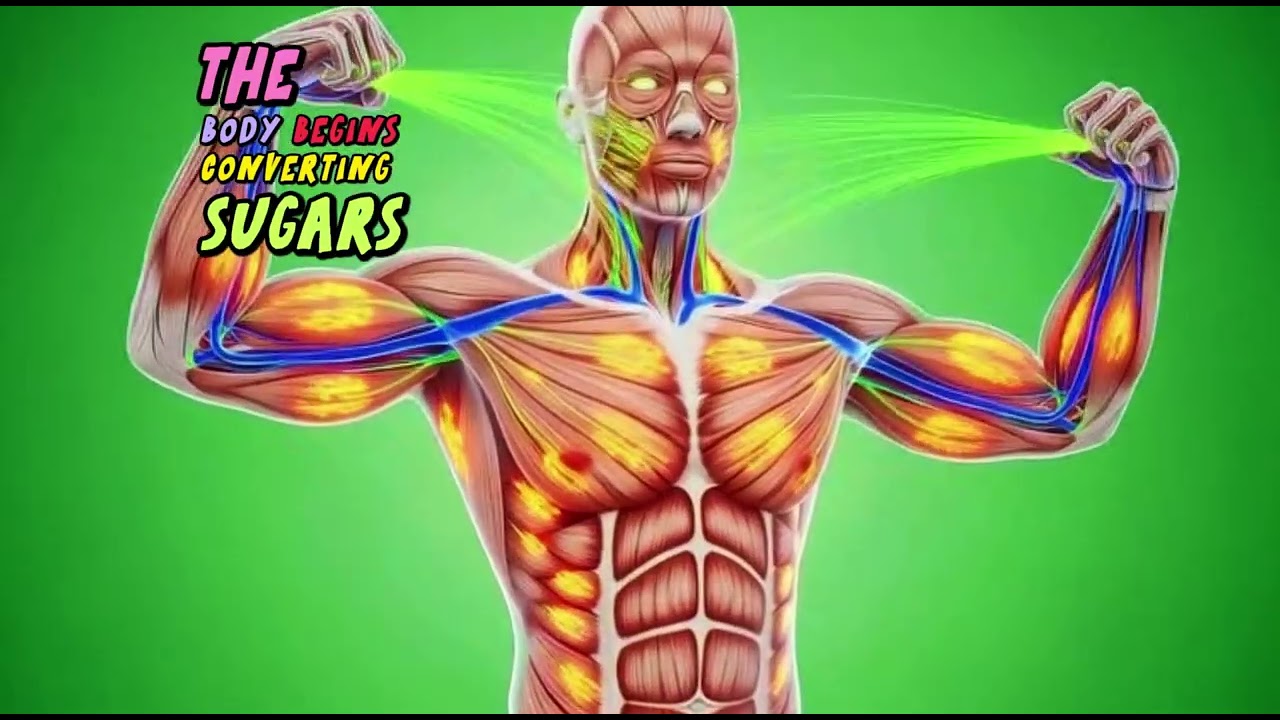 What Energy Drinks REALLY Do Inside Your Body  Full 3D Medical Breakdown