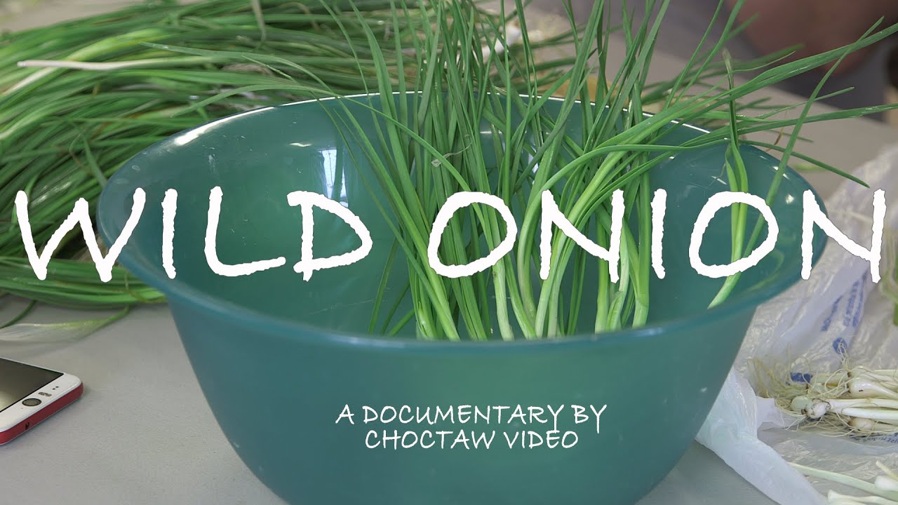 Wild Onion