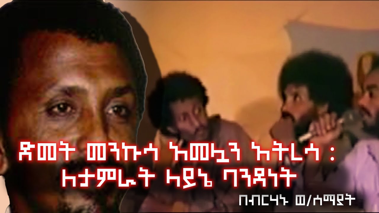 ድመት መንኩሳ አመሏን አትረሳ : ለታምራት ላይኔ ባንዳነት - በብርሃኑ ወ/ሰማያት