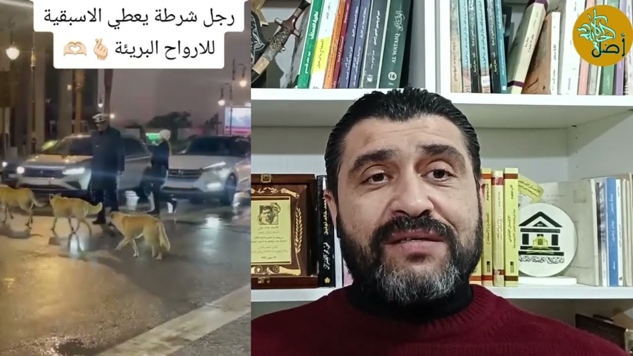 بوليسي مغربي يصنع الحدث في طنجة ويعطي الطريق لـ"كلاب" عابرة.واخر في كازا مع قطة.. ومواطنون مع الطيور