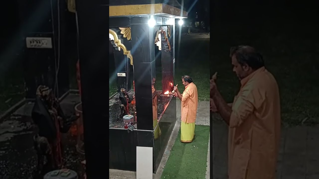 Goswami Krishna giri official  is live