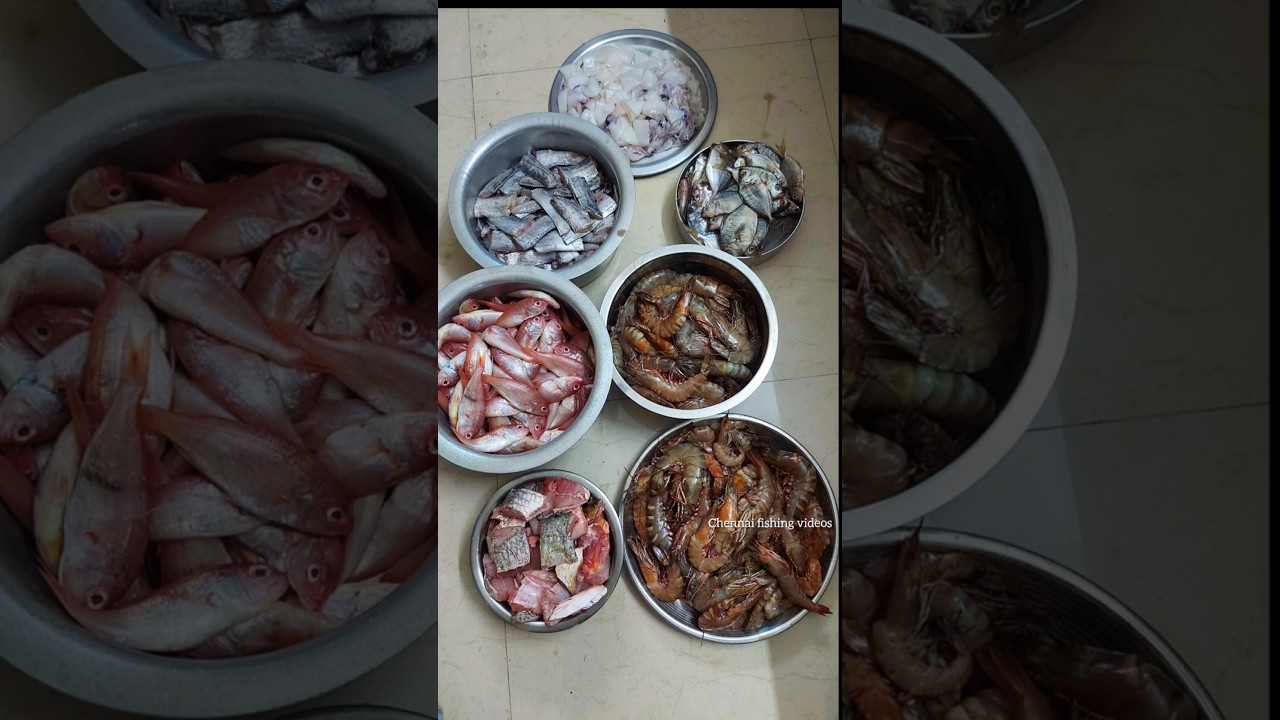 #kasimedu #prawns #fish #fishing #vanagaram #fishmarket #kasimeduselvam #food #fishcutting