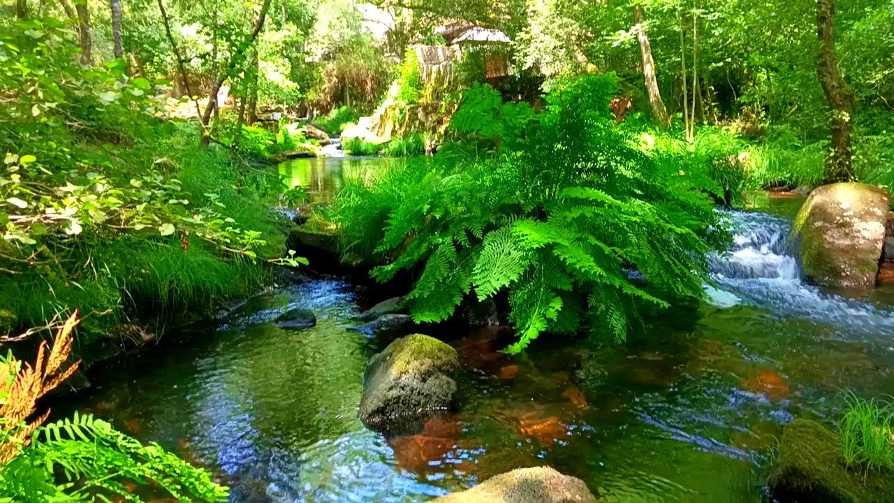 🇪🇸 🌳 Lugo (Ciudad) (Tráiler) 