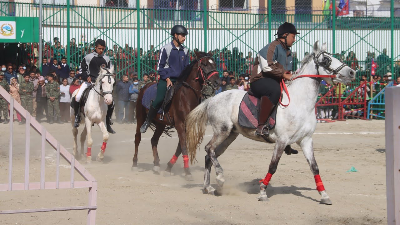 स्थानीय तह मध्य घोडेजात्रा गर्न तारकेश्वर नगरपालिका गर्यो प्रथम तारकेश्वर घोडेजात्रा महोत्सव सम्पन्।