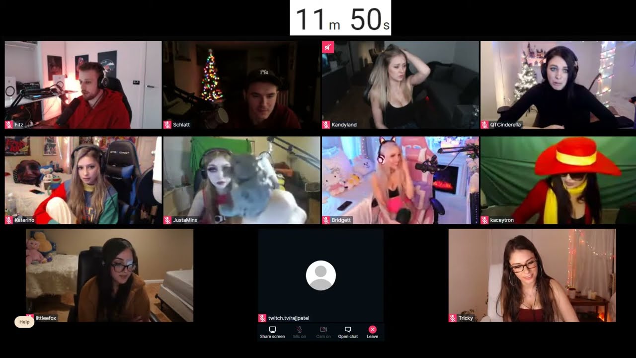 THE RAJJCHELOR FT. FITZ & 10 GIRLS AND SCHALTT PART 2