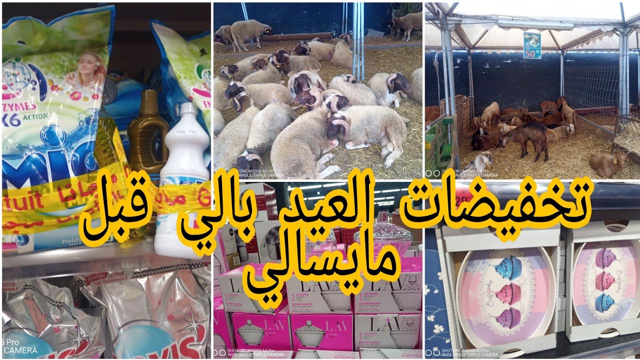 أجي تدي فكرة علا أثمنة صردي و البركي بالكيلو بمرجان و تخفيضات 😱 في مرجان و الهميزات لي جابو 🎉
