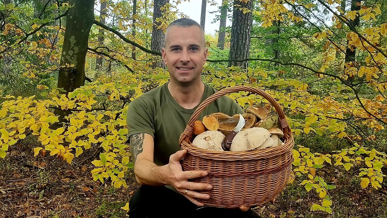Za GRZYBAMI można tam JECHAĆ W CIEMNO - BORY SOSNOWE RZĄDZĄ - SUPER GRZYBOBRANIE!!! 🍄‍🟫🍄‍🟫🍄‍🟫