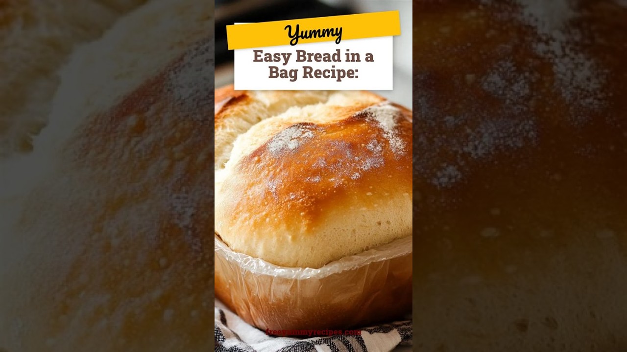 Bread in a Bag: The Future of Homemade Loaves.