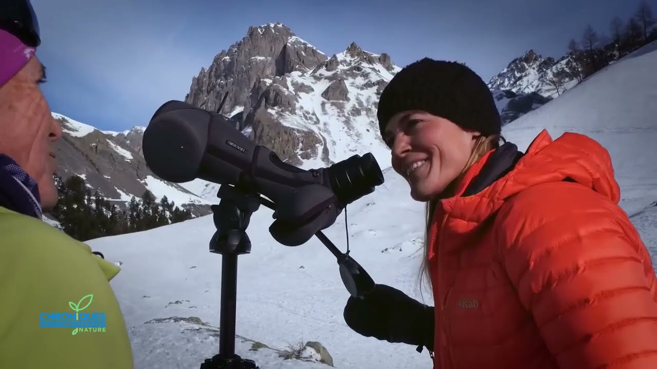 Chroniques méditerranéennes nature - Les Ecrins
