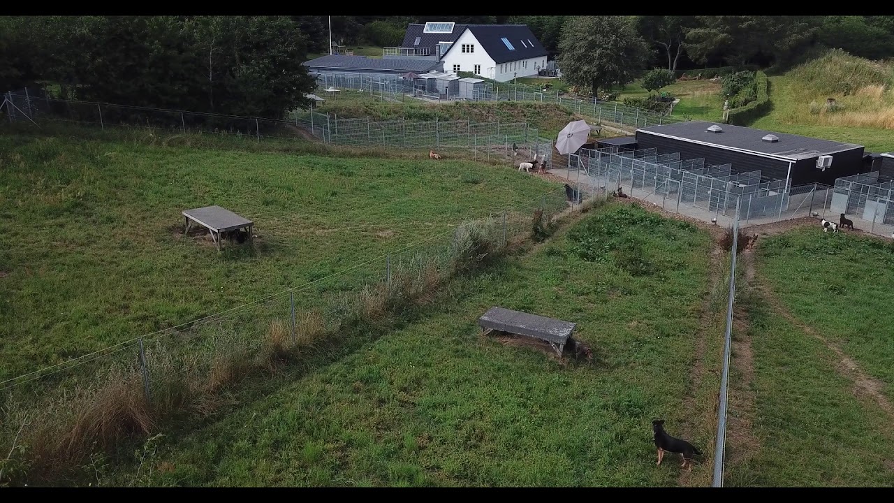 hundepension