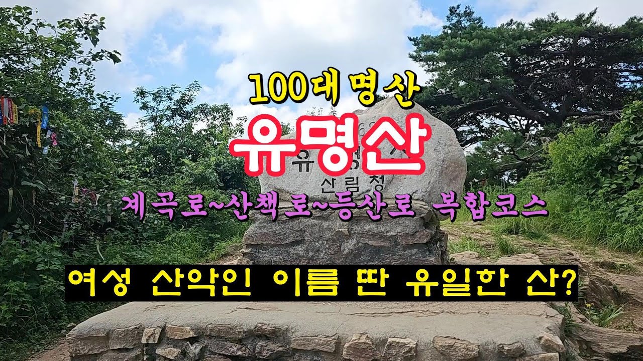 국립 자연휴양림 100대 명산 유명산 트레킹(계곡.산책.등산로 혼합코스), 여름철  계곡피서, 숲속 산책/등산 최고 명소, 자연생태 탐방
