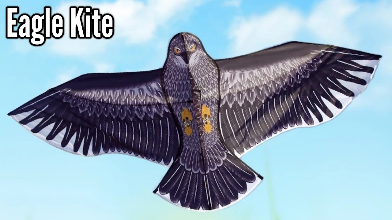 Eagle Kite Unboxing & Assemble | How to set up Eagle Kite | How to assembling eagle kite