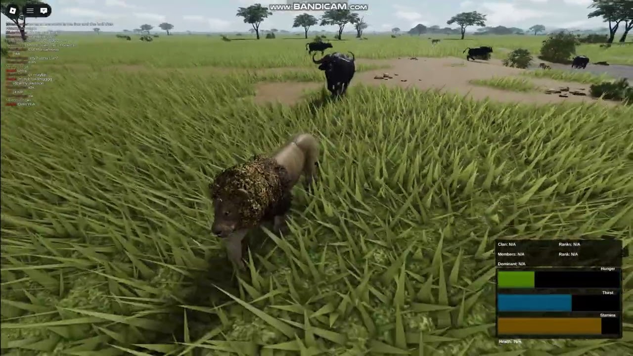 Buffaloes attempted murder | Wild Savannah