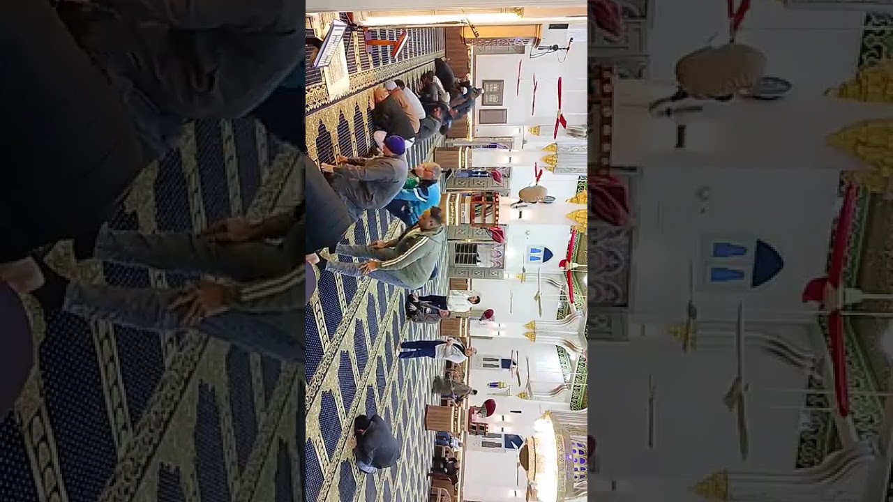 صلاة العشاء والتراويح من رحاب مسجد البحر بشرباص لفضيلة الشيخ أحمد أيمن عبد المحسن دمياط فارسكور 