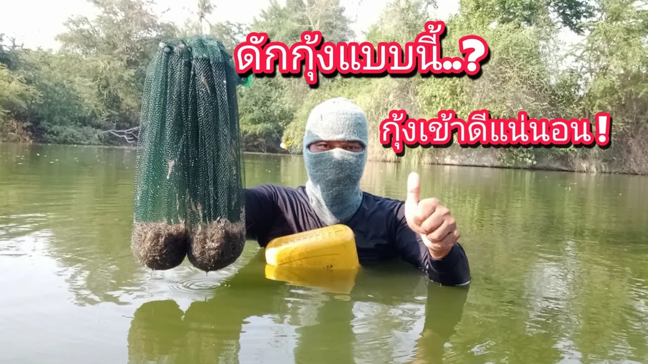ดักกุ้งฝอยให้ได้เยอะ ดักน้ำตื้น หรือน้ำลึกดี? (ท้ายคลิปไปขายกุ้งกันครับ)Ep.219