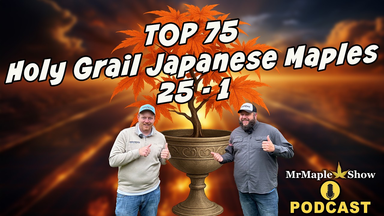 Top 75 Holy Grail Japanese Maples 25 - 1 | MrMaple Show Podcast