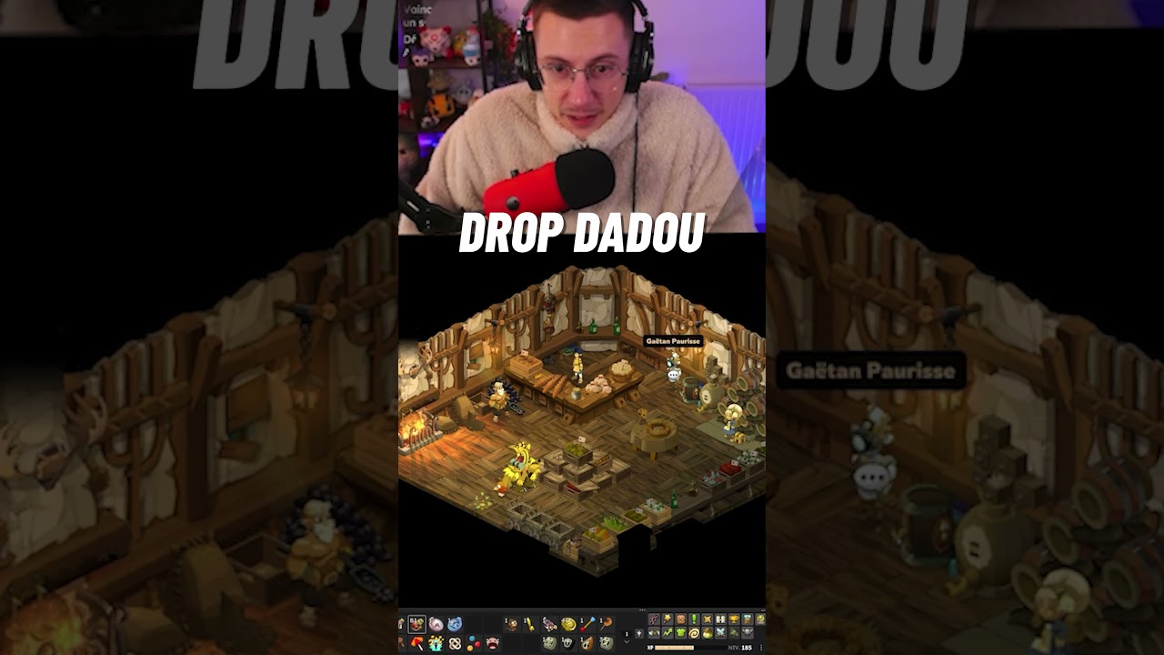 Du ROLEPLAY sur DOFUS 😭 