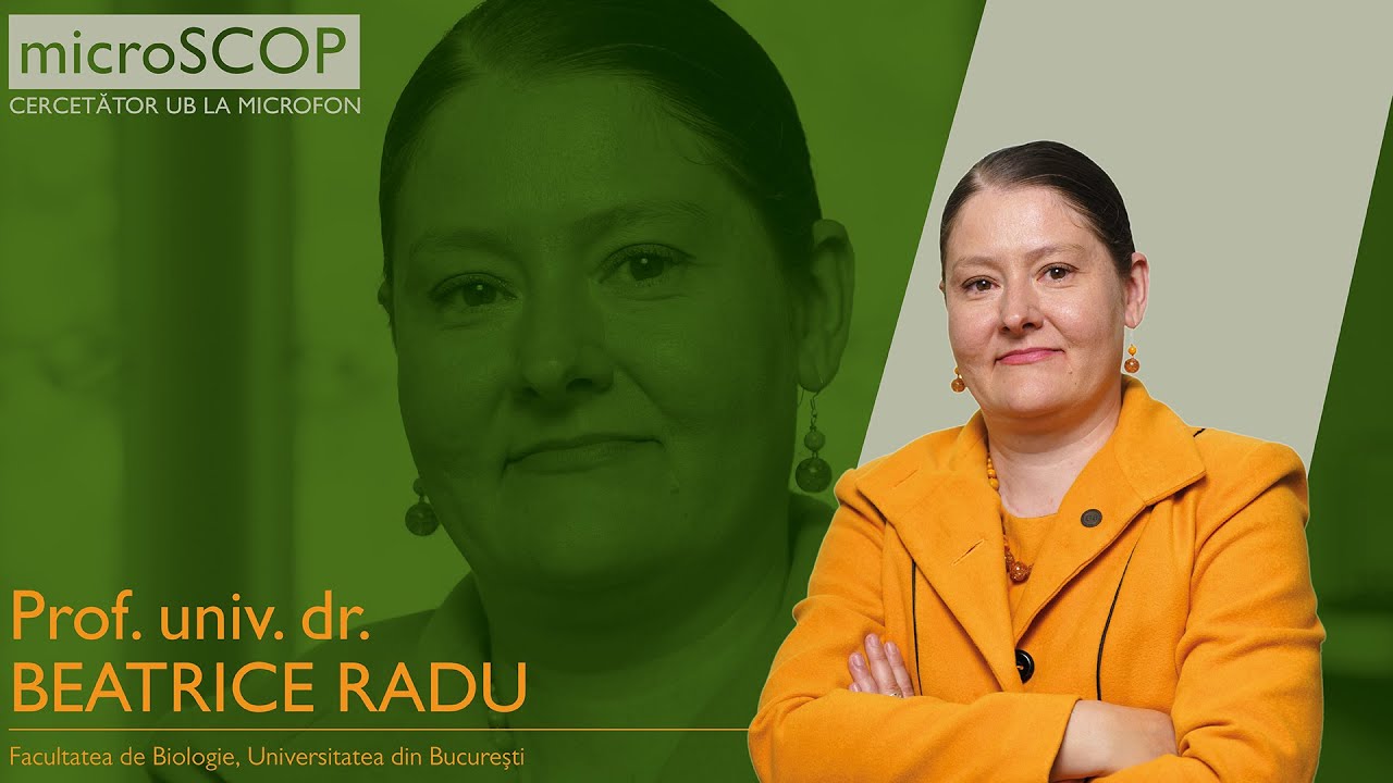 microSCOP UB | Episodul 1. Beatrice Radu, Facultatea de Biologie a UB