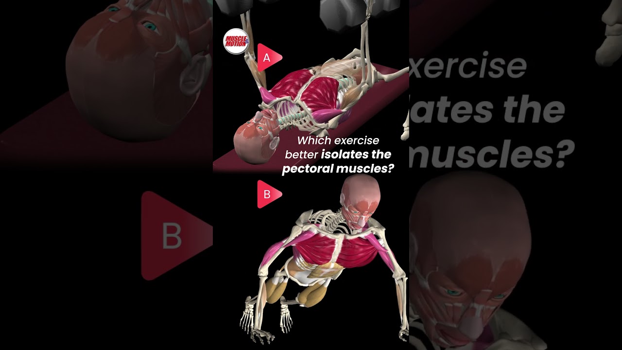 Which exercise better isolates the pectoral muscle?