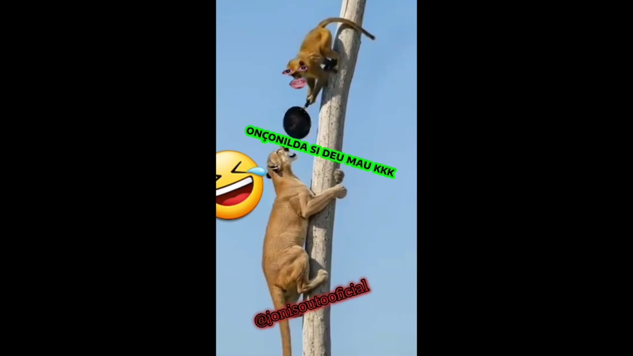 Me ajudem a bater 10mil escrito 