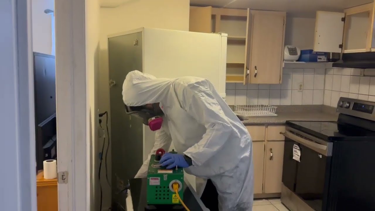 Professional Best Pest Control Service