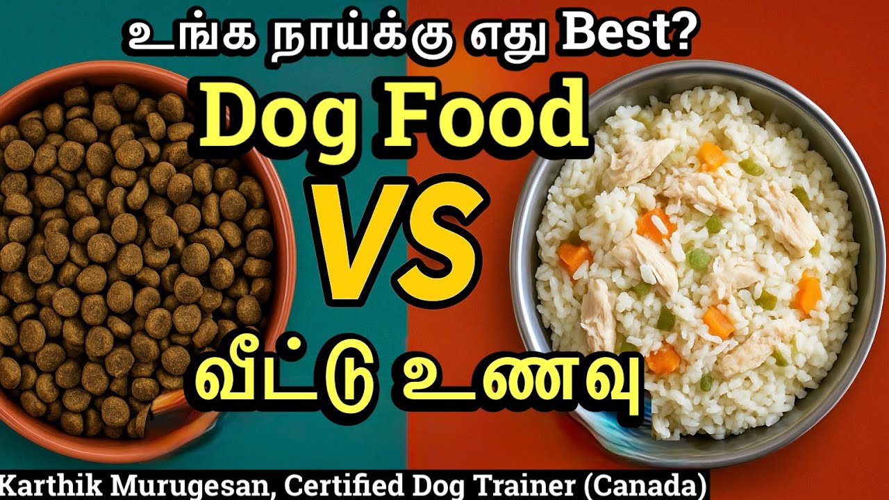 Dog Food Tamil | Kibble vs Homemade South Indian Food for Dogs  தமிழில்– Pros & Cons Explained