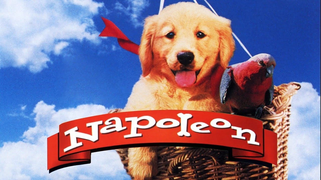 Napoleon (1995) Sinhronizovani igrani dečiji film (Vans)
